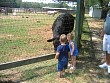 OC-Babies 064.jpg